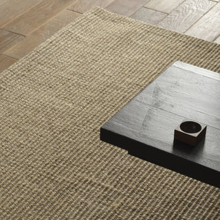 Jaipur Living Bahan Laney BHN02 Tan Area Rug Detail Image