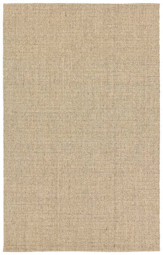 Jaipur Living Bahan Laney BHN02 Tan Area Rug main image