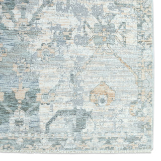 Jaipur Living Ballad Seraph BLA04 Gray/Beige Area Rug Detail Image