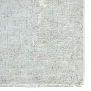 Jaipur Living Ballad Kosta BLA13 Taupe/Silver Area Rug Detail Image
