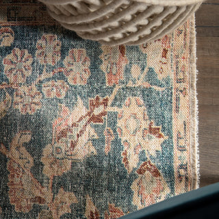Jaipur Living Boheme Bardia BOH08 Dark Teal/Rust Area Rug Main Image