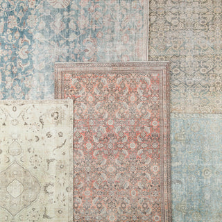Jaipur Living Boheme Bardia BOH08 Dark Teal/Rust Area Rug Main Image