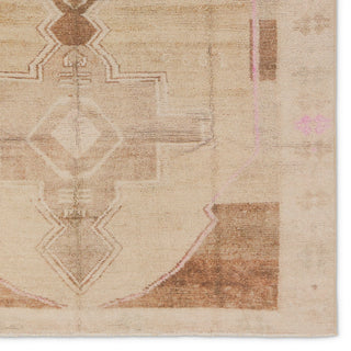 Jaipur Living Boheme Parian BOH29 Yellow/Pink Area Rug Detail Image