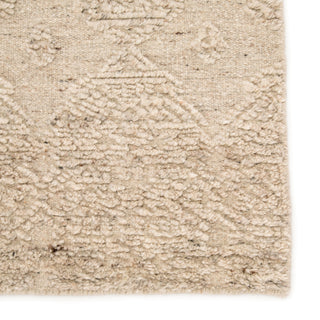 Jaipur Living Burke Dentelle BRK01 Beige Area Rug Detail Image