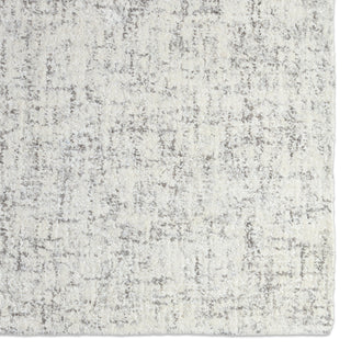 Jaipur Living Britta Plus BRP09 Ivory/Taupe Area Rug Detail Image