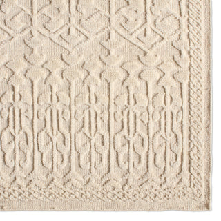 Jaipur Living Brier BRR04 Area Rug Detail Image