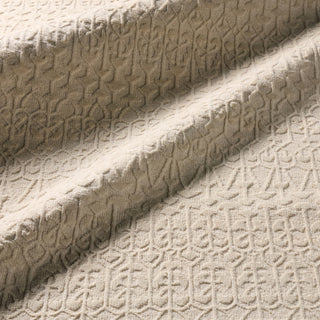 Jaipur Living Brier BRR04 Area Rug Lifestyle Image Feature