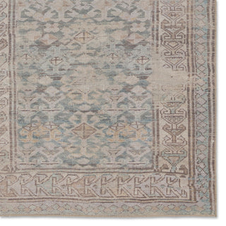 Jaipur Living Canteena Oakley Area Rug by Vibe Detail Image