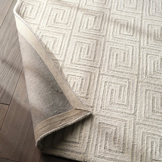 Jaipur Living Capital Harkness CAP03 White/Gray Area Rug Lifestyle Image Feature