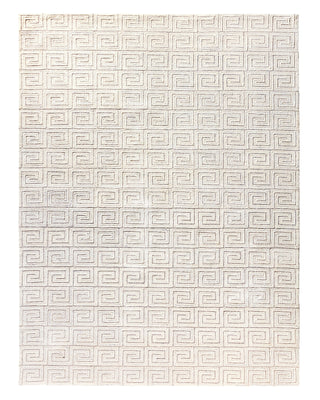 Jaipur Living Capital Harkness CAP03 White/Gray Area Rug main image