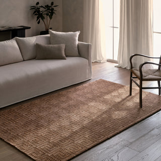 Jaipur Living Capital Harkness CAP04 Brown Area Rug Room Scene Feature