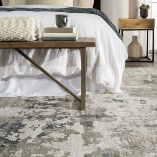 Jaipur Living Cirque Lynne CIQ01 White/Gray Area Rug Main Image