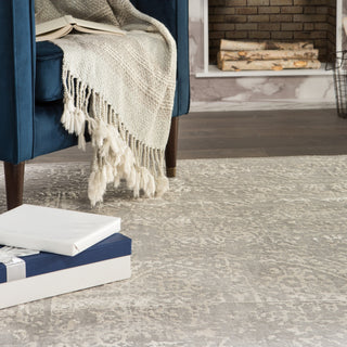 Jaipur Living Cirque Lianna CIQ04 Gray/White Area Rug Main Image