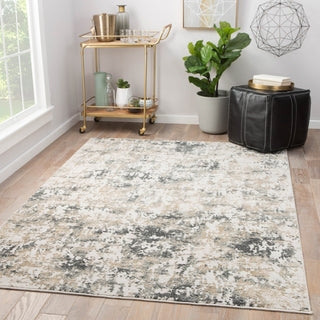 Jaipur Living Cirque Arvo CIQ09 White/Dark Gray Area Rug Lifestyle Image Feature