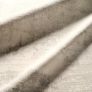 Jaipur Living Cirque Brixt CIQ31 Gray/Ivory Area Rug Detail Image