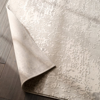 Jaipur Living Cirque Brixt CIQ31 Gray/Ivory Area Rug Lifestyle Image Feature