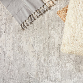 Jaipur Living Cirque Alcina CIQ40 Light Gray/Cream Area Rug Main Image