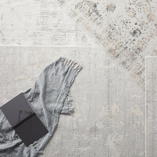 Jaipur Living Cirque Alcina CIQ40 Light Gray/Cream Area Rug Main Image
