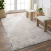 Jaipur Living Cirque Fortier CIQ47 Silver/Slate Area Rug Lifestyle Image Feature