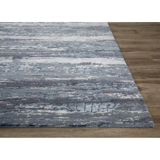 Jaipur Living Chaos Theory By Kavi Bandi CKV20 Indigo/Gray Area Rug Backing Image