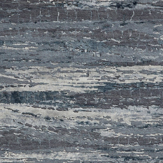 Jaipur Living Chaos Theory By Kavi Bandi CKV20 Indigo/Gray Area Rug Detail Image