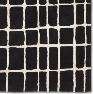 Jaipur Living Clayton Innate CLN17 Black/Ivory Area Rug