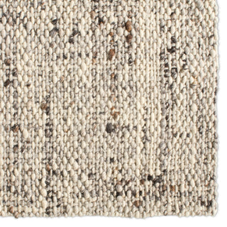 Jaipur Living Cambridge Season CMB02 Gray/Ivory Area Rug Detail Image