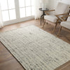 Jaipur Living Cambridge Season CMB05 Cream/Light Gray Area Rug Lifestyle Image