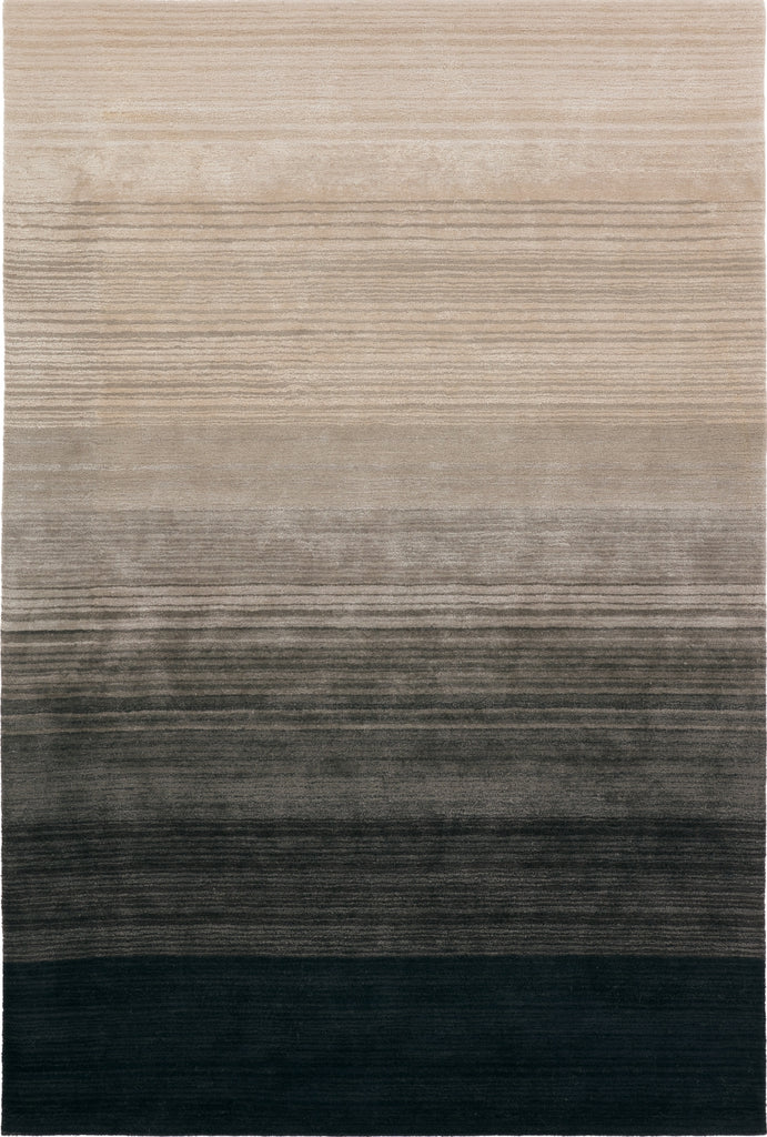 Jaipur Living Cambrian Zepour CMN01 Black Area Rug