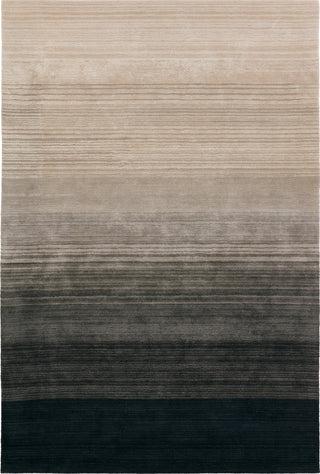 Jaipur Living Cambrian Zepour CMN01 Black Area Rug