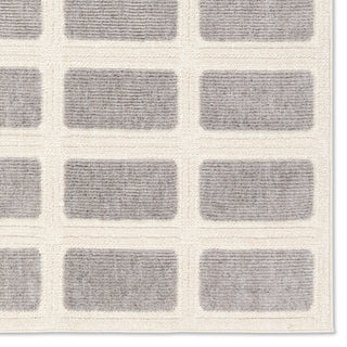 Jaipur Living Composure Deverell CMP03 Gray/Cream Area Rug Detail Image