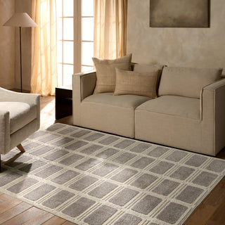 Jaipur Living Composure Deverell CMP03 Gray/Cream Area Rug main image
