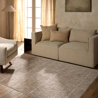 Jaipur Living Composure Assurance CMP07 Tan/Cream Area Rug main image