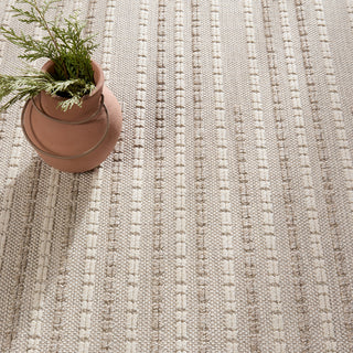 Jaipur Living Continuum Theorem CNT03 Taupe/Cream Area Rug by Grant Design Collaborative Vibe