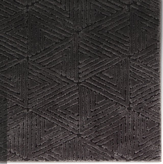 Jaipur Living Calix By Ziazan CNU04 Black Area Rug Nikki Chu