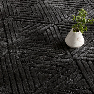 Jaipur Living Calix By Ziazan CNU04 Black Area Rug Nikki Chu Detail Image