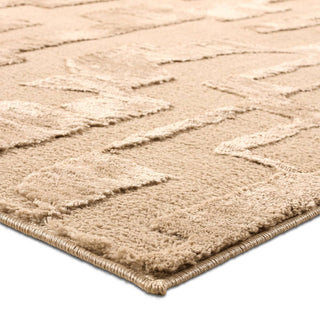 Jaipur Living Calix By Nikki Chu Demir CNU05 Tan/Brown Area Rug Corner Image