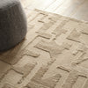 Jaipur Living Calix By Nikki Chu Demir CNU05 Tan/Brown Area Rug Detail Image