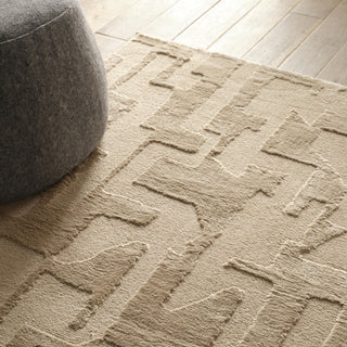 Jaipur Living Calix By Nikki Chu Demir CNU05 Tan/Brown Area Rug Detail Image