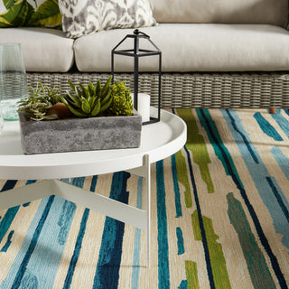 Jaipur Living Colours Sketchy Lines CO19 Blue/Green Area Rug Collection Image