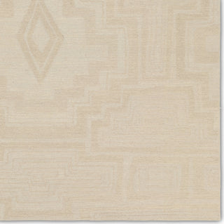 Jaipur Living Cardamom Aterian COM16 Light Gray/Cream Area Rug by Vibe