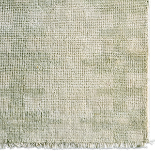Jaipur Living Cera CRA04 Area Rug Detail Image