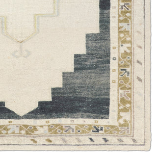 Jaipur Living Casen Stellar CSN01 Cream Area Rug Collection Image