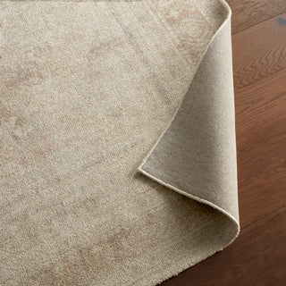 Jaipur Living Casen Adorn CSN05 Beige Area Rug Detail Image