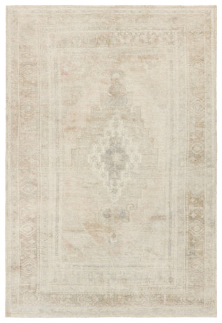 Jaipur Living Casen Adorn CSN05 Beige Area Rug main image