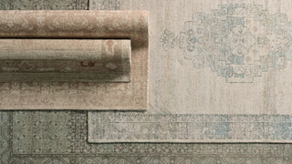 Jaipur Living Casen Miraleth CSN09 Tan / Beige Area Rug Collection Image