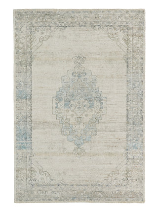 Jaipur Living Casen Elyara CSN06 Gray Area Rug main image