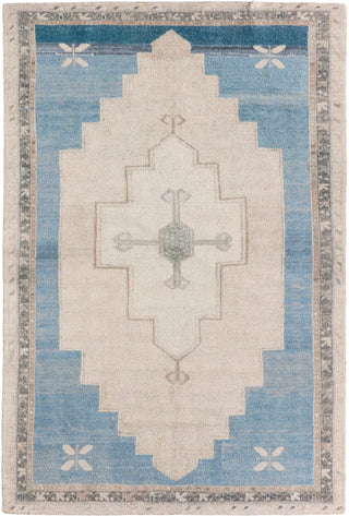 Jaipur Living Casen Enigma CSN11 Blue Area Rug main image