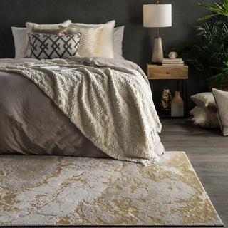 Jaipur Living Catalyst Cisco CTY02 Gray/Gold Area Rug Collection Image