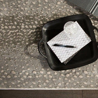 Jaipur Living Catalyst Axis CTY08 Gray/Natural Area Rug Main Image